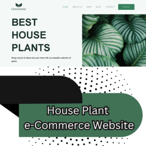 e-Commerce Website - Topsite SA